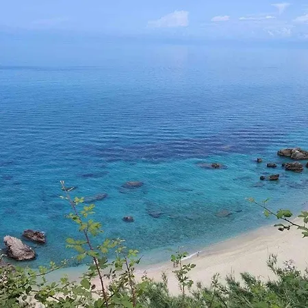 Blue Spirit Parghelia